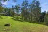 23 South Arm Road, Urunga, NSW 2455-Image