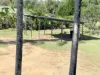 23 Strathdee Street, Mundubbera, Qld 4626-Image
