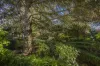 23 Stuart Drive, Woodend, Vic 3442-Image