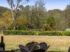 23 Tarranganda Court, Glenvale, Qld 4350-Image