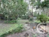 23 Thomas Street, Narangba, Qld 4504-Image