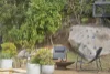 23 Willunga Road, Berowra, NSW 2081-Image