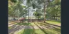 23 Wingate Avenue, Eastwood, NSW 2122-Image