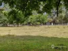 230 Lower Franklin Road, Foster, Vic 3960-Image