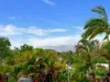230 Toogood Road, Bayview Heights QLD 4868-Image