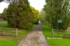 2309 Main South Road, Poowong East, Vic 3988-Image