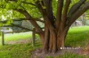 2309 Main South Road, Poowong East, Vic 3988-Image
