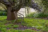 2309 Main South Road, Poowong East, Vic 3988-Image