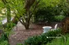 2309 Main South Road, Poowong East, Vic 3988-Image