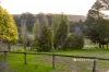 2309 Main South Road, Poowong East, Vic 3988-Image