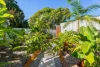 231 Cypress Street, Urangan, Qld 4655-Image