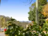 231 Rowbotham Street, Middle Ridge, Qld 4350-Image