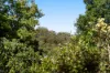231 Rowbotham Street, Middle Ridge, Qld 4350-Image