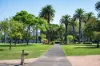 232 Abercrombie Street, Redfern, NSW 2016-Image
