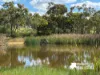 232 TOWNSEND ROAD, Glen Aplin, Qld 4381-Image