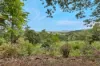 232 Wainai Road, Farleigh, Qld 4741-Image