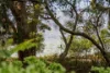 233 Coningham Road, Coningham, Tas 7054-Image