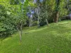 233 Mooloolaba Road, Buderim, Qld 4556-Image