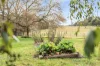 233 Yarrawa Road, Moss Vale, NSW 2577-Image