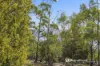 234 Apollo Bay Road, Apollo Bay, Tas 7150-Image