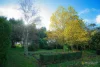 234 Black Rock Road, Camperdown, Vic 3260-Image