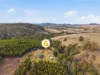 234 Coalmine Bend Road, Colebrook, Tas 7027-Image