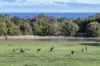 234 Sheoak Drive, Yallingup, WA 6282