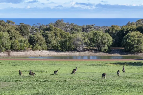 234 Sheoak Drive, Yallingup, WA 6282