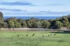 234 Sheoak Drive, Yallingup, WA 6282-Image