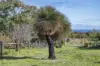 234 Sheoak Drive, Yallingup, WA 6282-Image