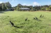 234 Sheoak Drive, Yallingup, WA 6282-Image