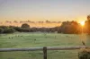 234 Sheoak Drive, Yallingup, WA 6282-Image