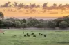 234 Sheoak Drive, Yallingup, WA 6282-Image