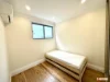 234 Young street, Annandale, NSW 2038-Image
