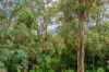 235 Black Mountain Range Road, Black Mountain, Qld 4563-Image