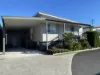 236/40 Shoalhaven Heads Road, Shoalhaven Heads, NSW 2535