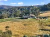 236 Cloverside Road, Lucaston, Tas 7109-Image