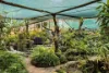 236 Gowrie Tilgonda Road, Gowrie Junction, Qld 4352-Image