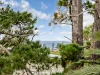 236 Hector Mcwilliam Drive, Tuross Head, NSW 2537-Image