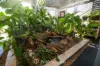 236  Kate Street, Macleay Island, Qld 4184-Image