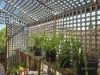 237 Carella Street, Howrah, Tas 7018-Image