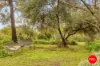 237 Eaglehawk Road, Long Gully, Vic 3550-Image