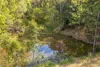 237 Guanaba Creek Road, Guanaba, Qld 4210-Image