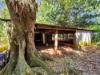 238 Ball Road, Peeramon, Qld 4885-Image