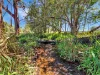 238 Ball Road, Peeramon, Qld 4885-Image