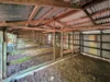 238 Ball Road, Peeramon, Qld 4885-Image