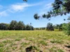 238 Ball Road, Peeramon, Qld 4885-Image