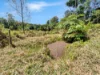 238 Ball Road, Peeramon, Qld 4885-Image