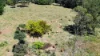 238 Ball Road, Peeramon, Qld 4885-Image
