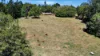 238 Ball Road, Peeramon, Qld 4885-Image